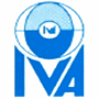 International Volleyball Association