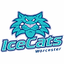 Worcester IceCats