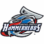 Corpus Christi Hammerheads