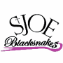 St. Joseph Blacksnakes