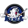 Evansville IceMen