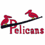 New Orleans Pelicans