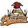 Sioux Falls Pheasants