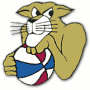 Carolina Cougars