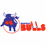 Birmingham Bulls