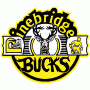 Pinebridge Bucks