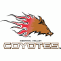 Central Valley Coyotes