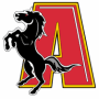 Augusta Stallions