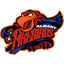 Albany Firebirds