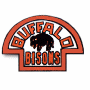 Buffalo Bisons