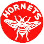 Pittsburgh Hornets