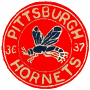 Pittsburgh Hornets