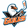 San Diego Gulls