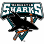 Worcester Sharks