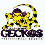 Albuquerque Geckos