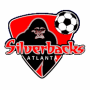 Atlanta Silverbacks