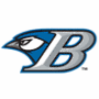 Bluefield Blue Jays