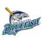 Bridgeport Bluefish