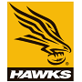 Hawthorn Hawks