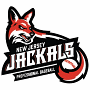 New Jersey Jackals