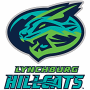 Lynchburg Hillcats