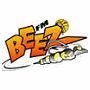 Fargo-Moorhead Beez