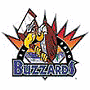 El Paso Buzzards