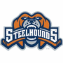 Youngstown Steelhounds