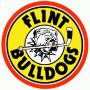 Flint Bulldogs