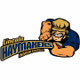 Lincoln Haymakers