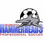 Wilmington Hammerheads