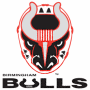 Birmingham Bulls