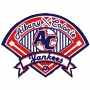 Albany-Colonie Yankees