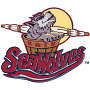 Erie SeaWolves