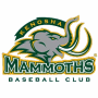 Kenosha Mammoths