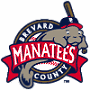 Brevard County Manatees