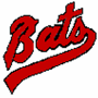 Mason City Bats