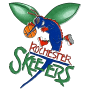 Rochester Skeeters