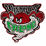 Winnipeg Cyclone