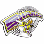 St. Louis Swarm