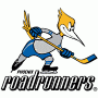 Phoenix Roadrunners