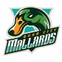 Quad City Mallards