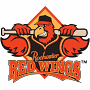 Rochester Red Wings