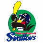 Tokyo Yakult Swallows