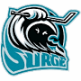 Orlando Surge