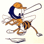 Burlington Bees