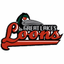 Great Lakes Loons