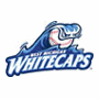 West Michigan Whitecaps