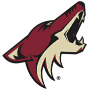 Phoenix Coyotes