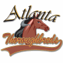 Atlanta Thoroughbreds